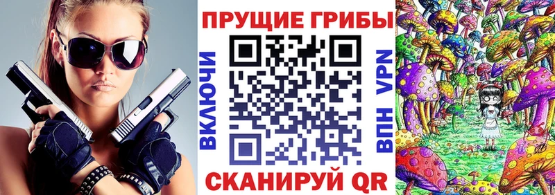 ОМГ ОМГ вход  где можно купить наркотик  Светлый  Галлюциногенные грибы мицелий 